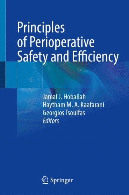 Georgios Tsoulfas, Haytham MA Kaafarani, Jamal J Hoballah - Principles of Perioperative Safety and Efficiency, E-bok