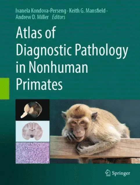 Andrew D. Miller, Keith G. Mansfield, Ivanela Kondova -  Perseng - Atlas of Diagnostic Pathology in Nonhuman Primates, E-bok. Tillgänglighet: Lägg i varukorg