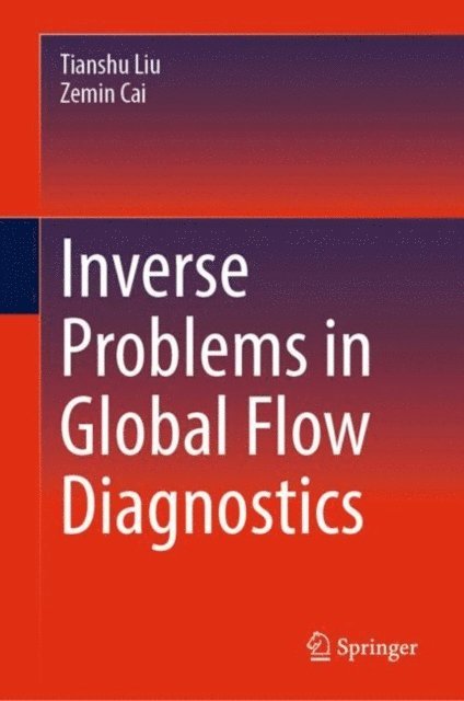Zemin Cai, Tianshu Liu - Inverse Problems in Global Flow Diagnostics, E-bok