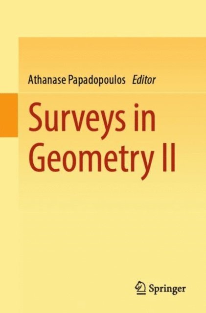 Athanase Papadopoulos - Surveys in Geometry II, E-bok