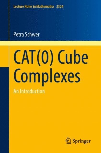 Petra Schwer - CAT(0) Cube Complexes, E-bok