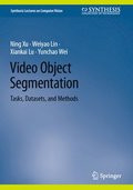 Video Object Segmentation