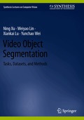 Video Object Segmentation