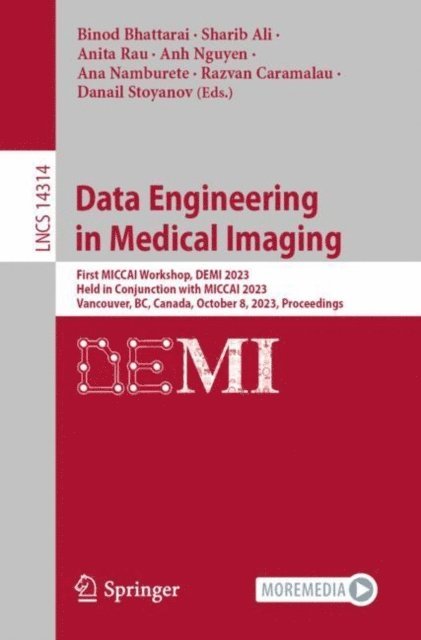 Danail Stoyanov, Razvan Caramalau, Ana Namburete, Anh Nguyen, Anita Rau, Sharib Ali, Binod Bhattarai - Data Engineering in Medical Imaging, E-bok