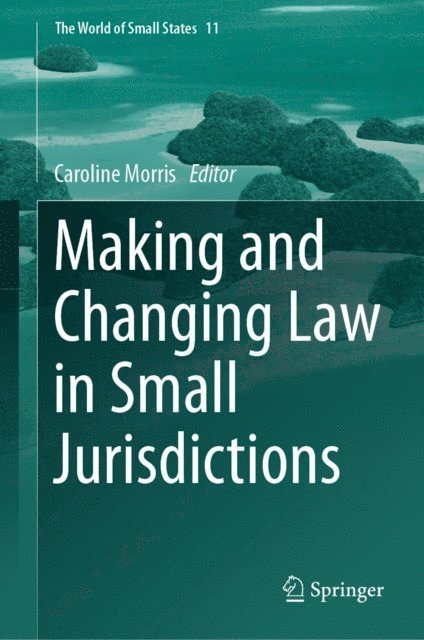 Caroline Morris - Making and Changing Law in Small Jurisdictions, E-bok