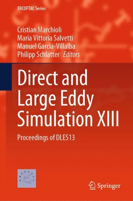 Philipp Schlatter, Manuel Garcia-Villalba, Maria Vittoria Salvetti, Cristian Marchioli - Direct and Large Eddy Simulation XIII, E-bok