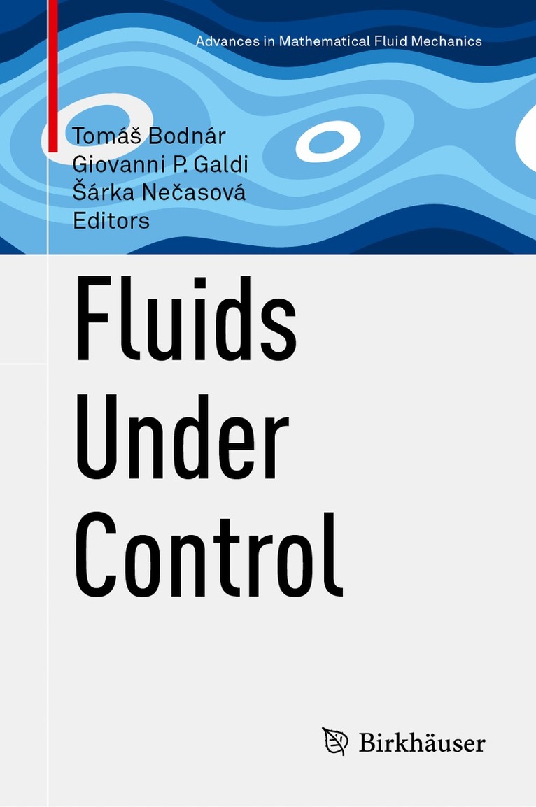 Tomáš Bodnár, Giovanni P. Galdi, Šárka Nečasová - Fluids Under Control, Inbunden