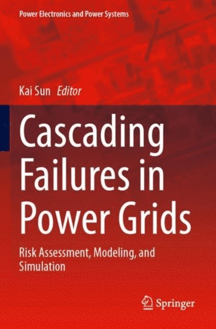 Kai Sun - Cascading Failures in Power Grids, E-bok