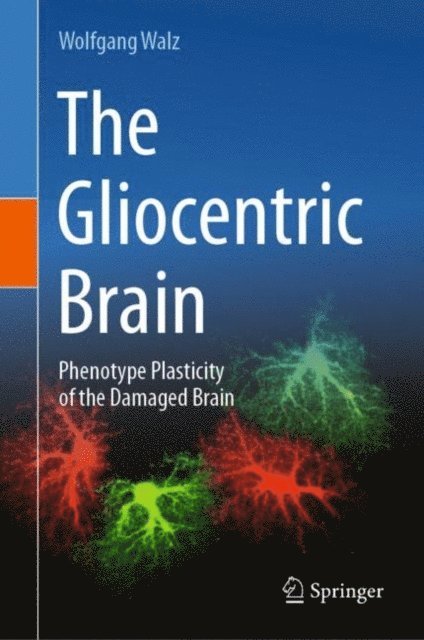 Wolfgang Walz - Gliocentric Brain, E-bok