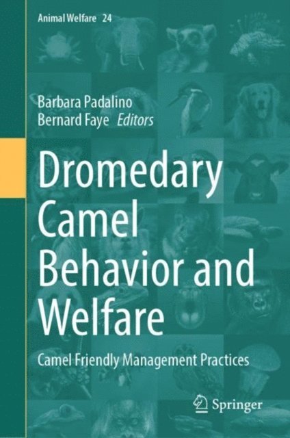 Bernard Faye, Barbara Padalino - Dromedary Camel Behavior and Welfare, E-bok