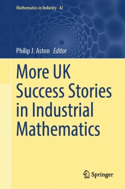 Philip J. Aston - More UK Success Stories in Industrial Mathematics, E-bok