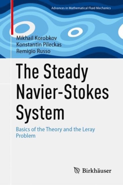 Remigio Russo, Konstantin Pileckas, Mikhail Korobkov - Steady Navier-Stokes System, E-bok