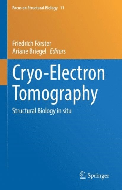 Ariane Briegel, Friedrich Forster - Cryo-Electron Tomography, E-bok