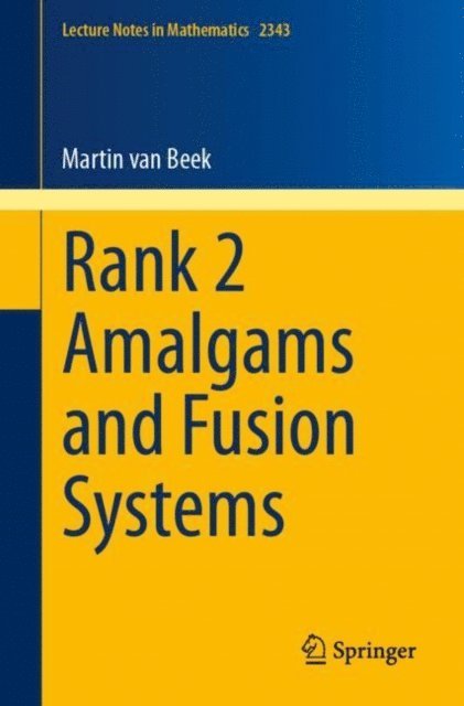 Martin van Beek - Rank 2 Amalgams and Fusion Systems, E-bok