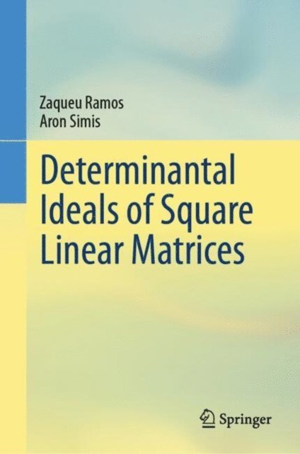 Aron Simis, Zaqueu Ramos - Determinantal Ideals of Square Linear Matrices, E-bok