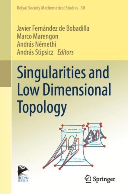 Andras Stipsicz, Andras Nemethi, Marco Marengon, Javier Fernandez de Bobadilla - Singularities and Low Dimensional Topology, E-bok