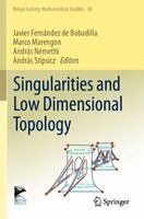 Javier Fernández de Bobadilla, Marco Marengon, András Némethi, András Stipsicz - Singularities and Low Dimensional Topology, Häftad
