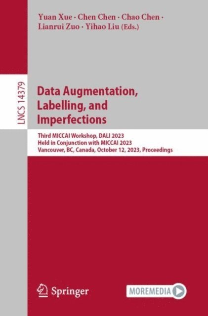 Yihao Liu, Lianrui Zuo, Chao Chen, Chen Chen, Yuan Xue - Data Augmentation, Labelling, and Imperfections, E-bok