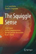 Squiggle Sense