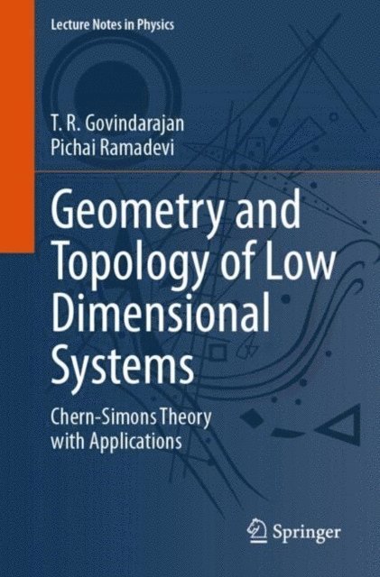 Pichai Ramadevi, T. R. Govindarajan - Geometry and Topology of Low Dimensional Systems, E-bok