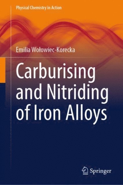 Emilia Wolowiec-Korecka - Carburising and Nitriding of Iron Alloys, E-bok