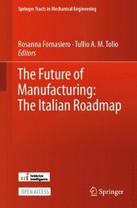 Future of Manufacturing: The Italian Roadmap