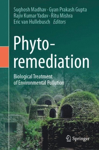 Eric van Hullebusch, Ritu Mishra, Rajiv Kumar Yadav, Gyan Prakash Gupta, Sughosh Madhav - Phytoremediation, E-bok