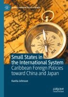 Kavita Johnson - Small States in the International System, Häftad