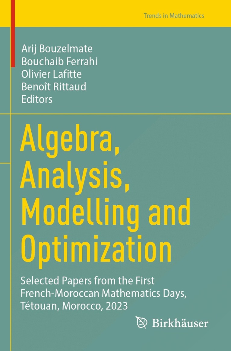 Arij Bouzelmate, Bouchaib Ferrahi, Olivier Lafitte, Benoît Rittaud - Algebra, Analysis, Modelling and Optimization, Häftad