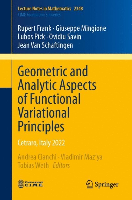 Jean Van Schaftingen, Ovidiu Savin, Lubos Pick, Giuseppe Mingione, Rupert Frank, Tobias Weth, Vladimir Maz'ya, Andrea Cianchi - Geometric and Analytic Aspects of Functional Variational Principles, E-bok