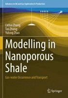 Liehui Zhang, Tao Zhang, Yulong Zhao - Modelling in Nanoporous Shale, Häftad