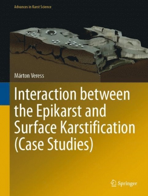 Marton Veress - Interaction between the Epikarst and Surface Karstification (Case Studies), E-bok