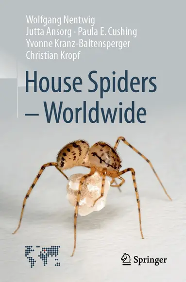 House Spiders - Worldwide