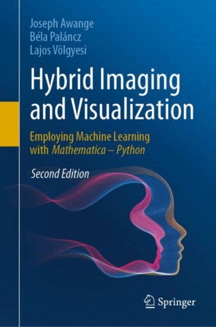 Lajos Volgyesi, Bela Palancz, Joseph Awange - Hybrid Imaging and Visualization, E-bok