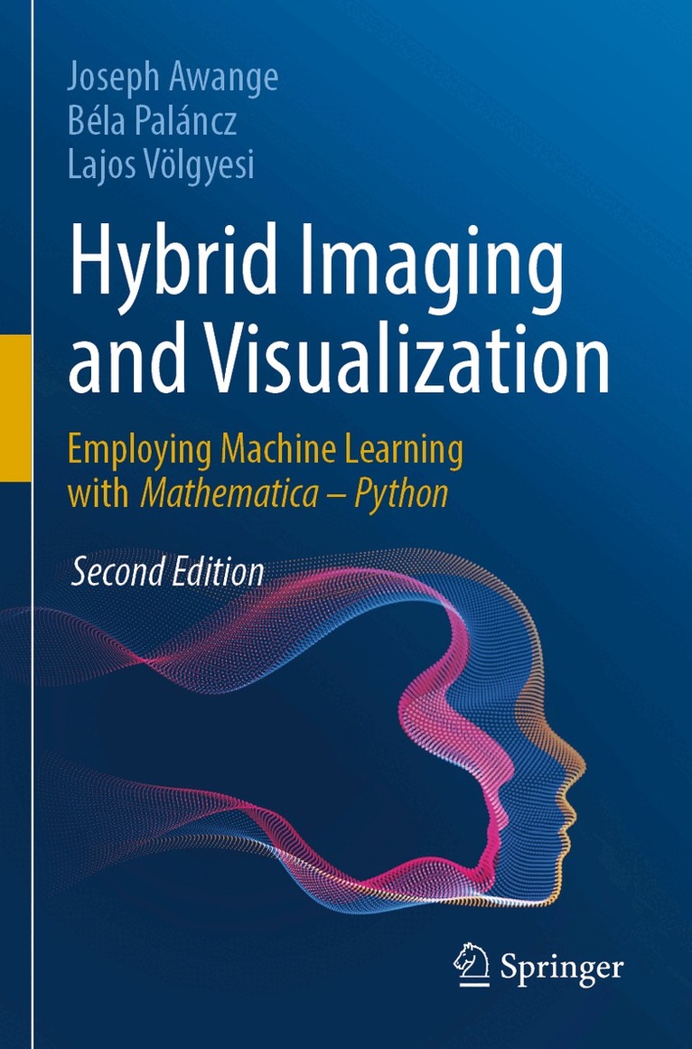 Joseph Awange, Béla Paláncz, Lajos Völgyesi - Hybrid Imaging and Visualization, Häftad