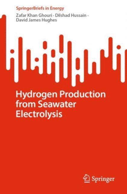 David James Hughes, Dilshad Hussain, Zafar Khan Ghouri - Hydrogen Production from Seawater Electrolysis, E-bok