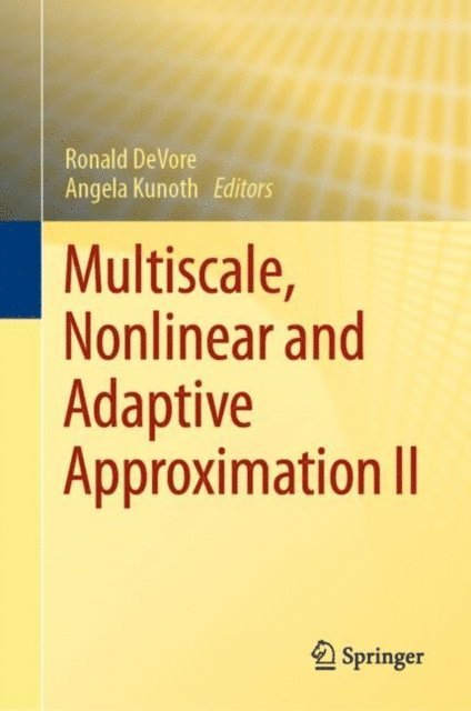 Angela Kunoth, Ronald DeVore - Multiscale, Nonlinear and Adaptive Approximation II, E-bok