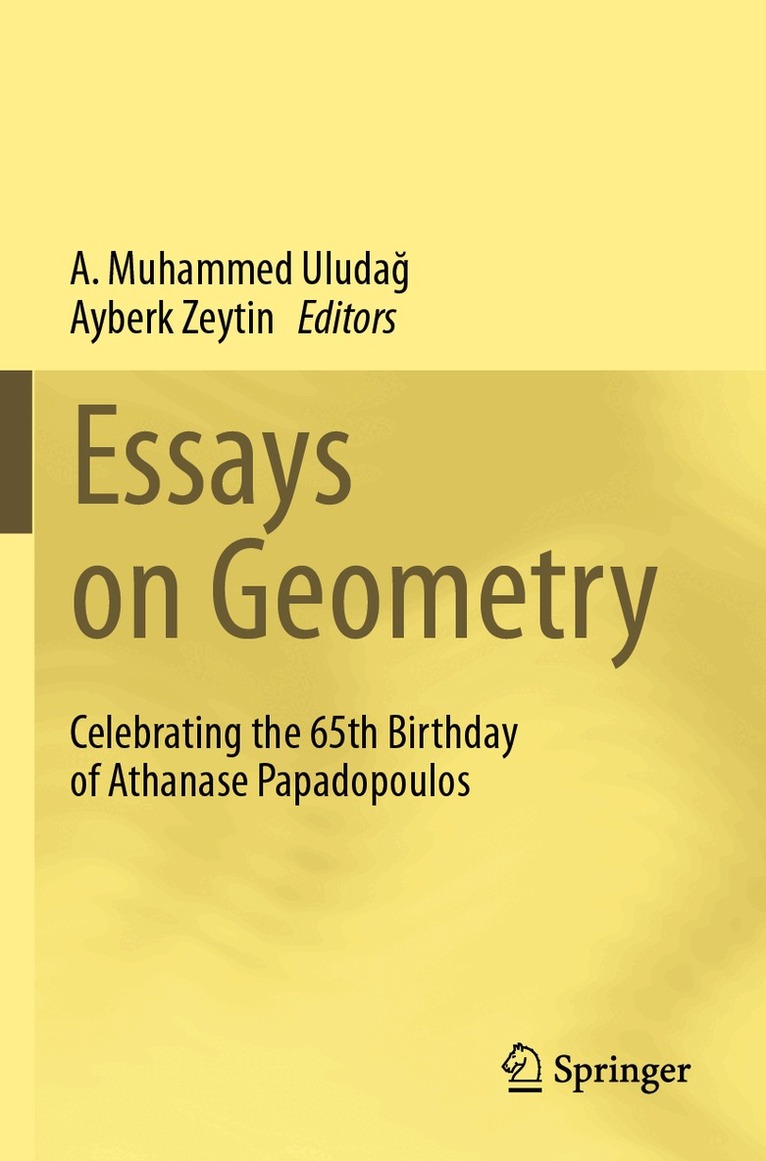 A. Muhammed Uludağ, Ayberk Zeytin - Essays on Geometry, Häftad