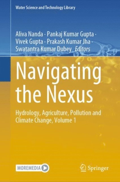 Swatantra Kumar Dubey, Prakash Kumar Jha, Vivek Gupta, Pankaj Kumar Gupta, Aliva Nanda - Navigating the Nexus, E-bok