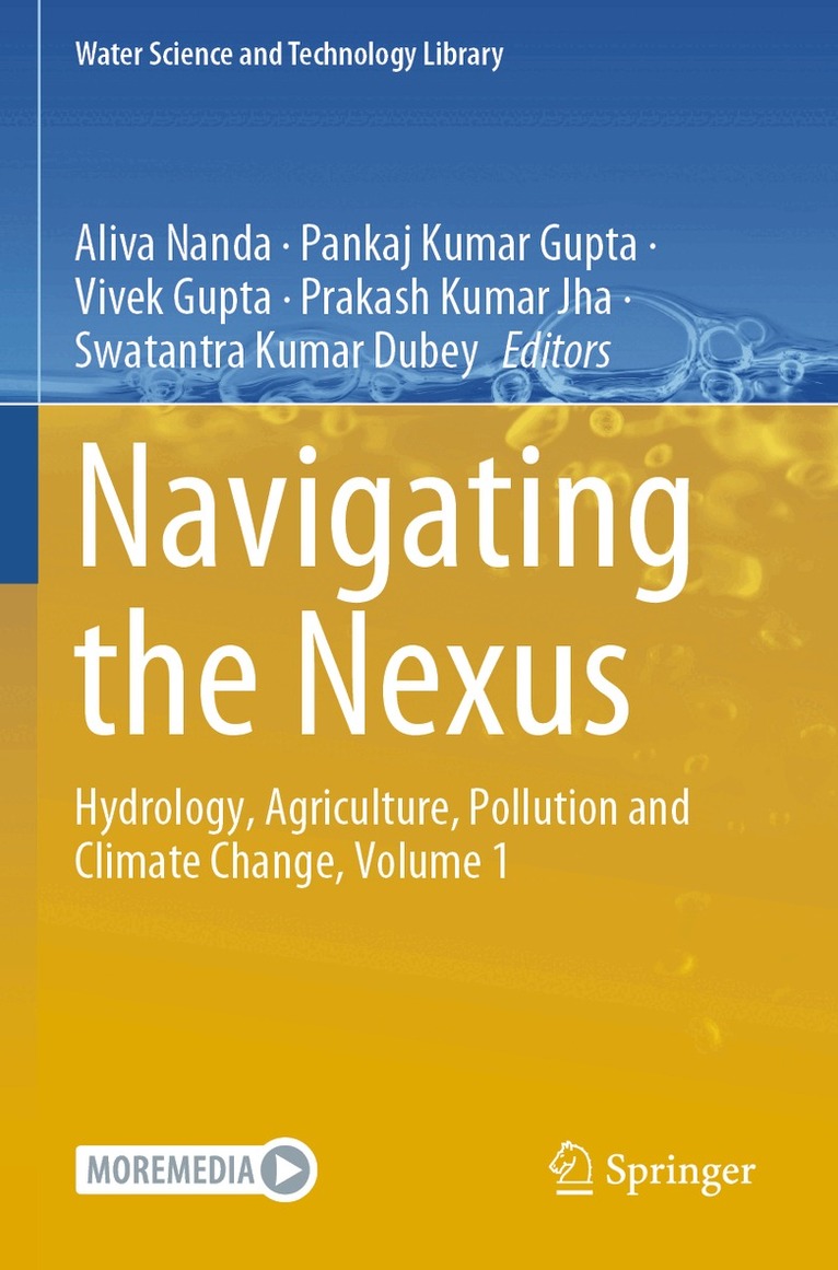 Aliva Nanda, Pankaj Kumar Gupta, Vivek Gupta, Prakash Kumar Jha, Swatantra Kumar Dubey - Navigating the Nexus, Häftad