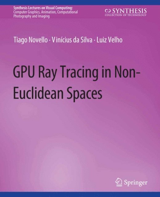 Luiz Velho, Vinicius da Silva, Tiago Novello - GPU Ray Tracing in Non-Euclidean Spaces, E-bok