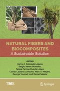 Natural Fibers and Biocomposites