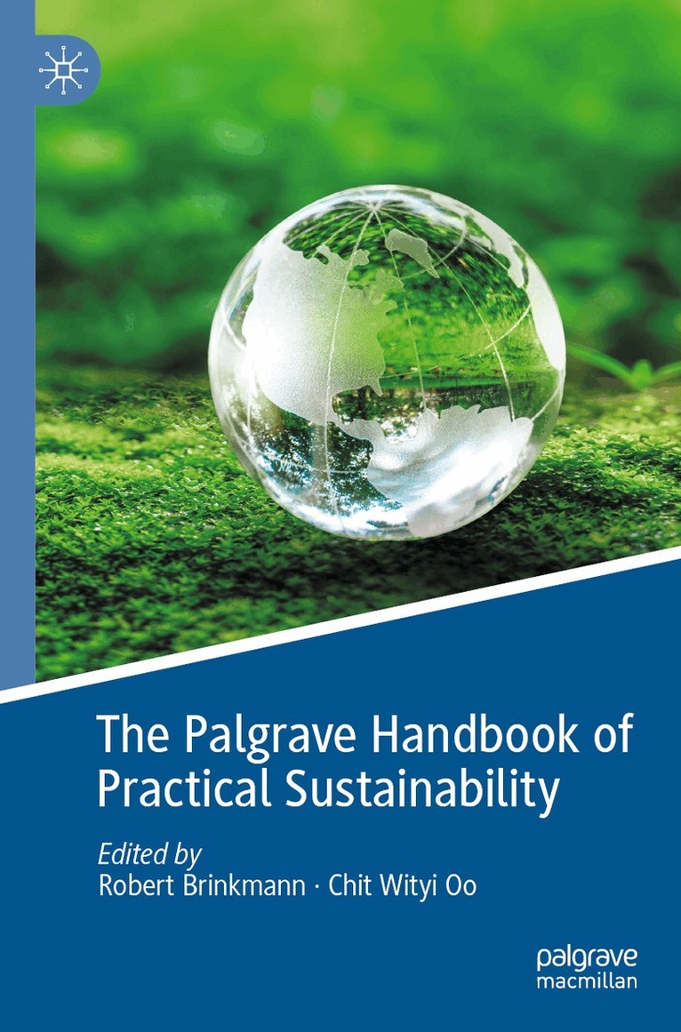 Robert Brinkmann, Chit Wityi Oo - Palgrave Handbook of Practical Sustainability, Häftad