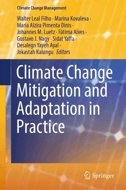 Jokastah Kalungu, Desalegn Yayeh Ayal, Sidat Yaffa, Gustavo J. Nagy, Fatima Alves, Johannes M. Luetz, Maria Alzira Pimenta Dinis, Marina Kovaleva, Walter Leal Filho - Climate Change Mitigation and Adaptation in Practice, E-bok