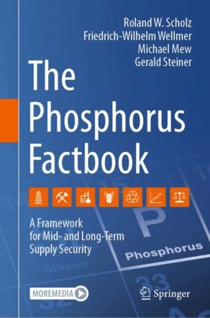 Gerald Steiner, Michael Mew, Friedrich-Wilhelm Wellmer, Roland W. Scholz - Phosphorus Factbook, E-bok
