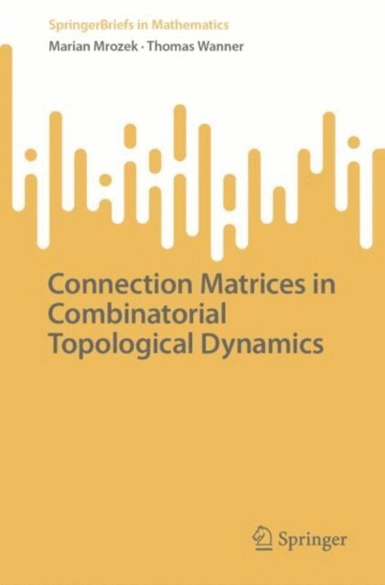 Thomas Wanner, Marian Mrozek - Connection Matrices in Combinatorial Topological Dynamics, E-bok