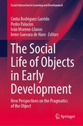 Social Life of Objects in Early Development