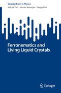 Ferronematics and Living Liquid Crystals