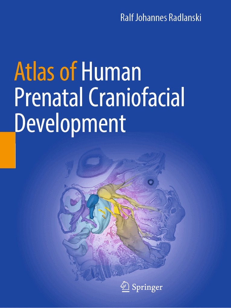 Ralf Johannes Radlanski - Atlas of Human Prenatal Craniofacial Development, Häftad. Tillgänglighet: Lägg i varukorg