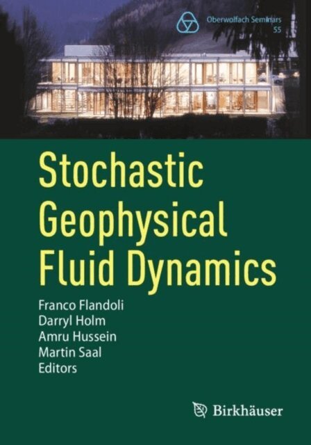 Martin Saal, Amru Hussein, Darryl Holm, Franco Flandoli - Stochastic Geophysical Fluid Dynamics, E-bok